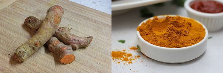 Spices in their natural form: image of turmeric in its natural state and as a spice