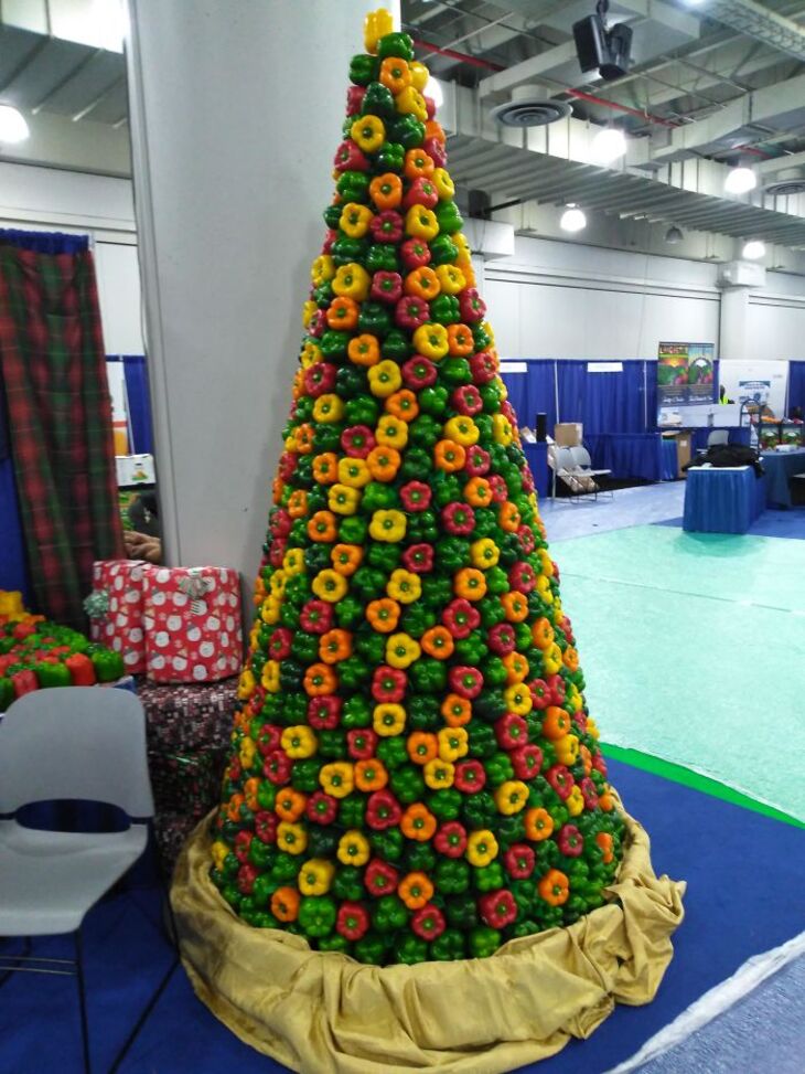 Unusual Christmas Trees 