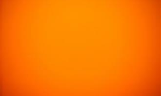 Are you an attentive or talkative person: Orange