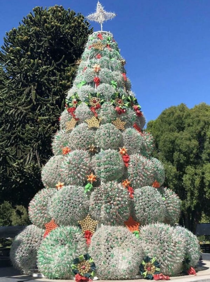 Unusual Christmas Trees 