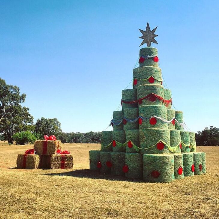 Unusual Christmas Trees 