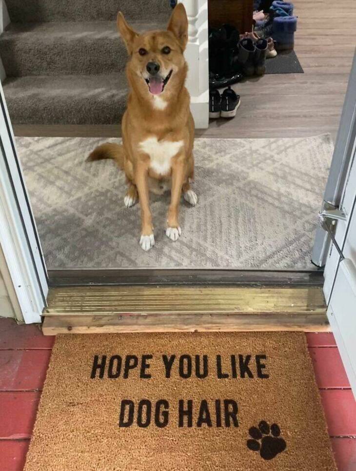 Hilarious Doormats