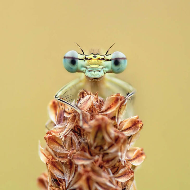 Garden Photographer Of The Year Winners