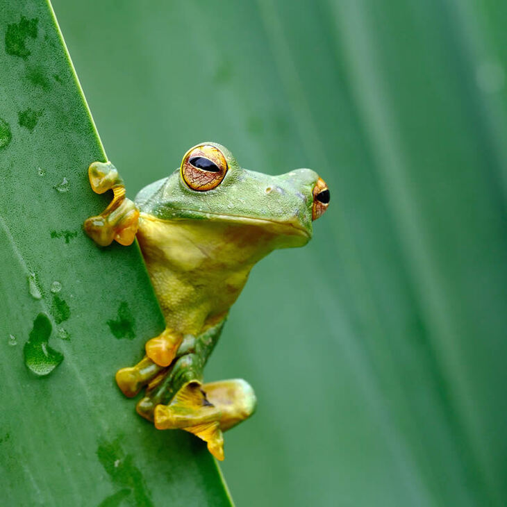 Garden Photographer Of The Year Winners