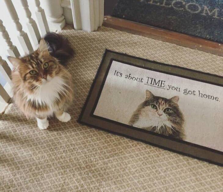 Hilarious Doormats