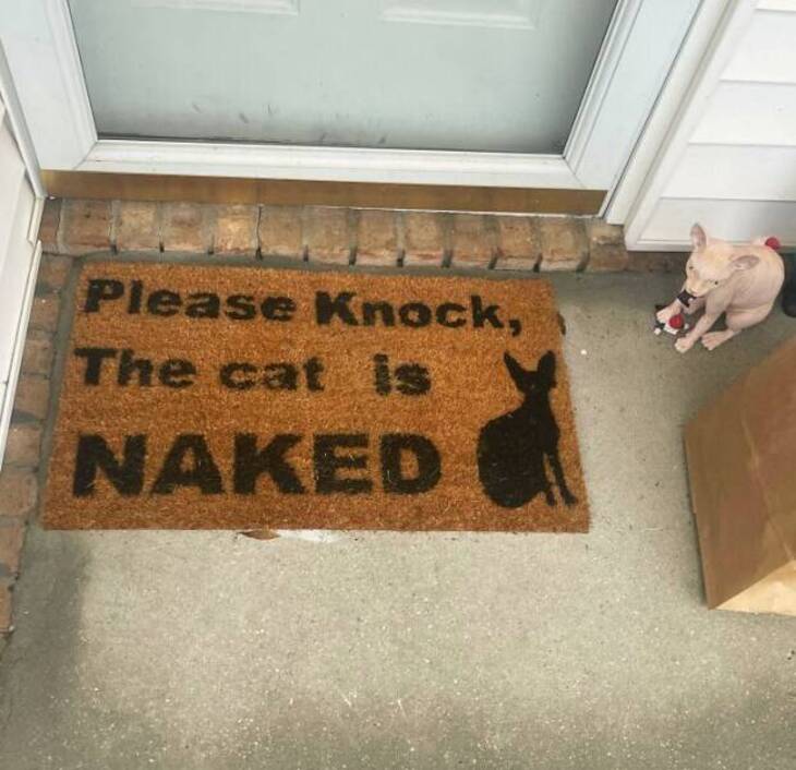 Hilarious Doormats