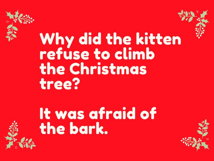  Funny Christmas Jokes 