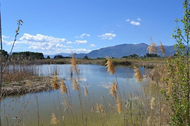 Recommended attractions in Valencia: Albufera Natural Park