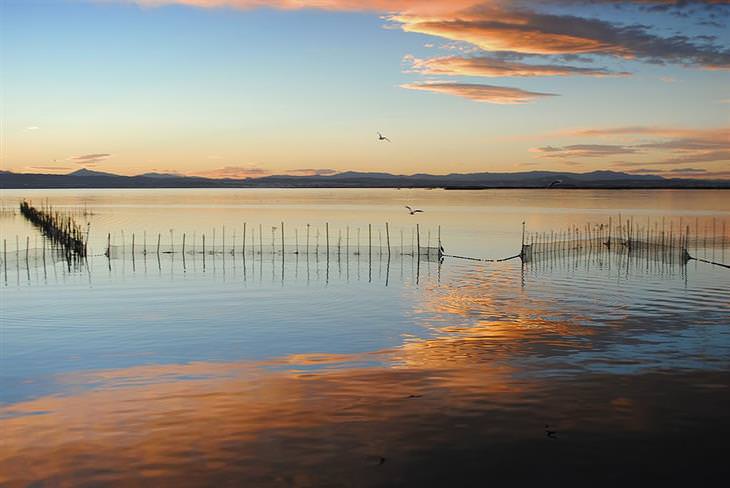 Recommended attractions in Valencia: Albufera Natural Park