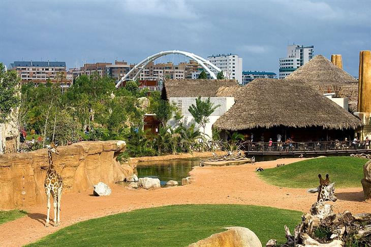 Recommended attractions in Valencia: Bioparc Valencia