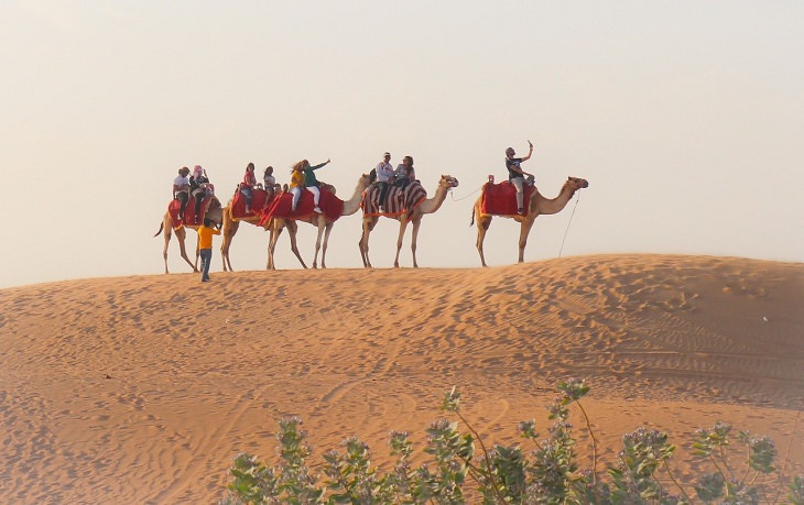 Dubai attractions: People riding camels in the desert