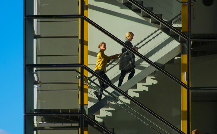 Physical activity improves cognition for 24 hours: Women climbing stairs