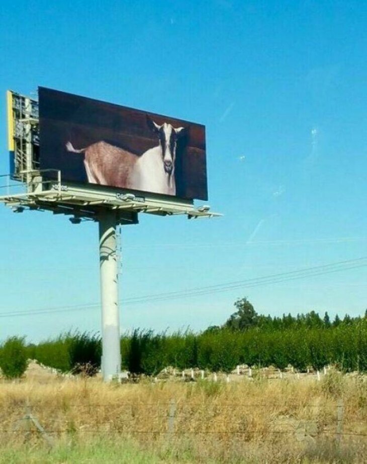 Advertising Fails