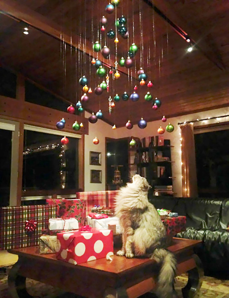  Funny Attempts at Pet-Proofing Christmas trees