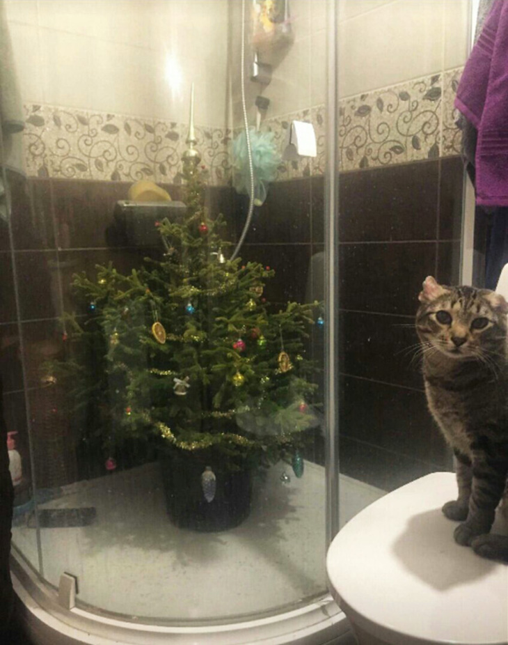  Funny Attempts at Pet-Proofing Christmas trees