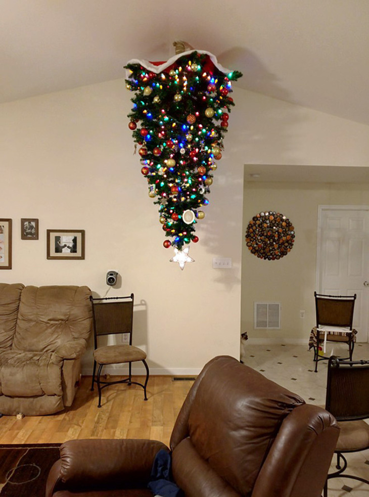  Funny Attempts at Pet-Proofing Christmas trees