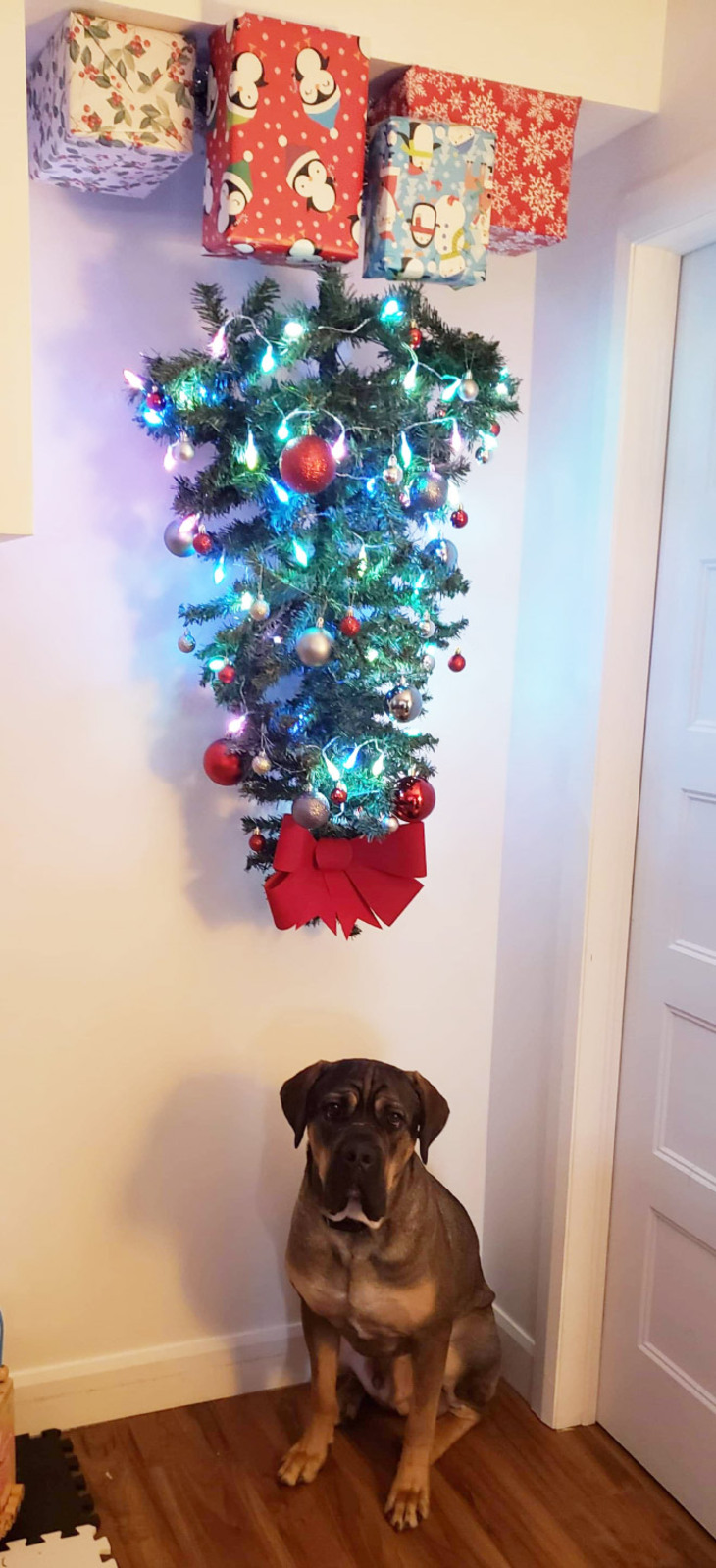  Funny Attempts at Pet-Proofing Christmas trees