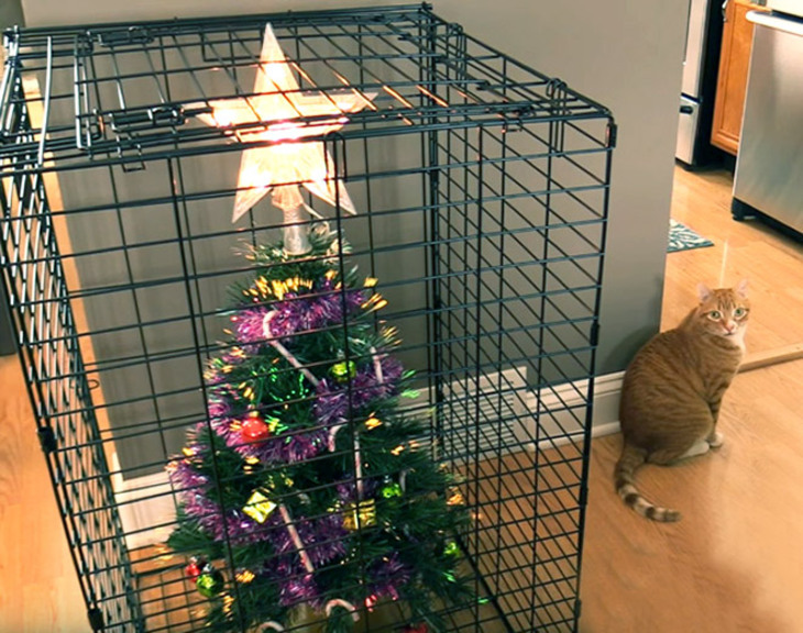  Funny Attempts at Pet-Proofing Christmas trees