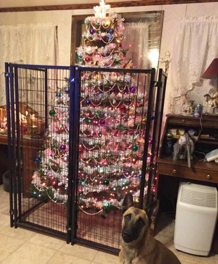  Funny Attempts at Pet-Proofing Christmas trees