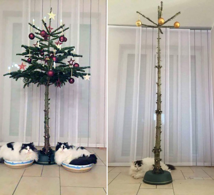  Funny Attempts at Pet-Proofing Christmas trees