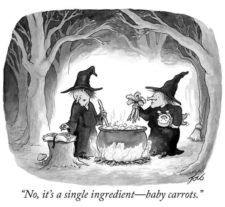 New Yorker Cartoonist's Single-Panel Comics 
