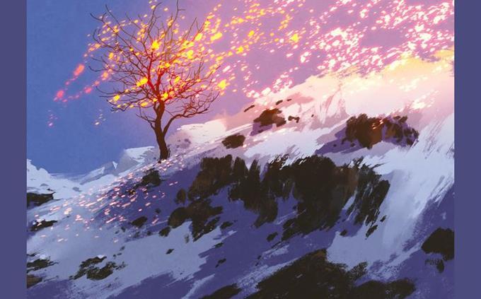 The color intelligence test: a tree on a snowy mountain
