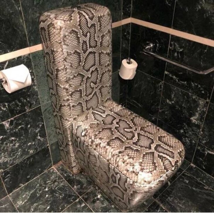 Ridiculous Bathroom Designs 