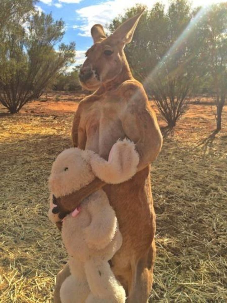 Weird and Funny Pics of Australian Life