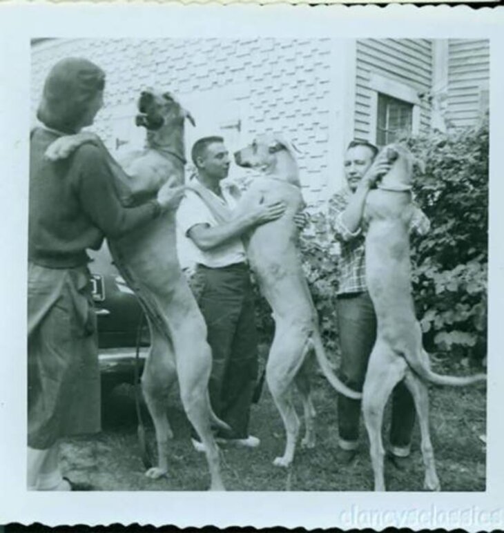 Vintage Pics of People Doing Weird & Funny Stuff