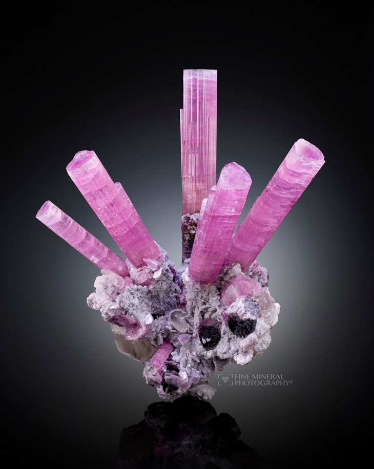 Starburst of bubblegum pink Tourmaline crystals with Lepidolite and Smoky Quartz from Tsanigal, Bargi Matal District, Velāyat-e Nūrestān, Afghanistan