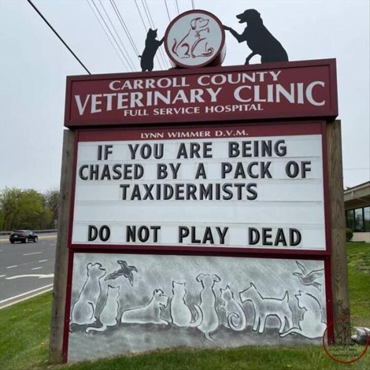 Quirky Vet Signs 