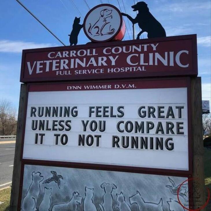 Quirky Vet Signs 