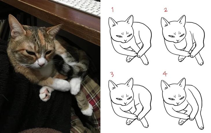 תמנות מתעתעות: חתול משלב רגליים