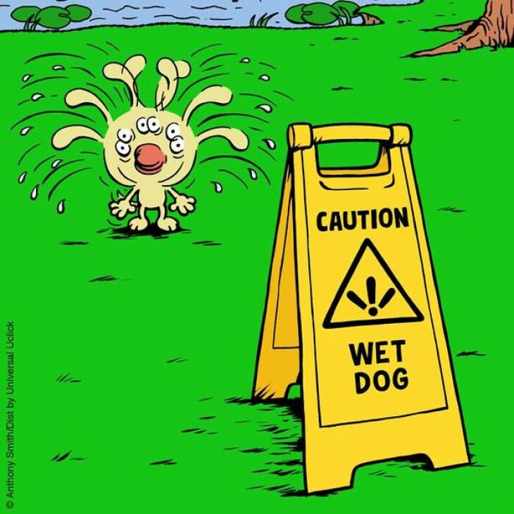 Funniest Single-Panel Dog Cartoons