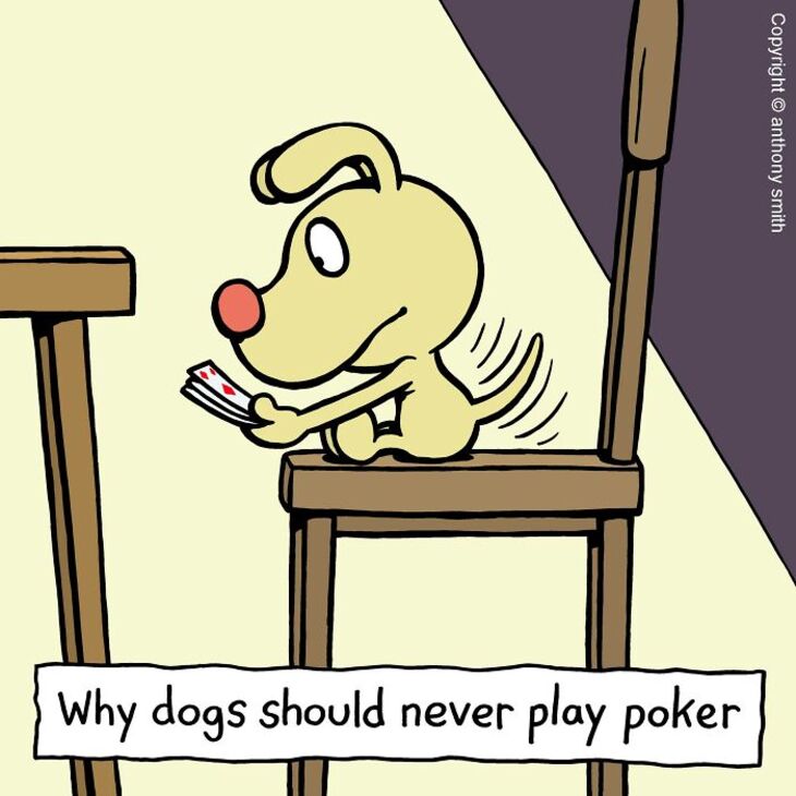 Funniest Single-Panel Dog Cartoons
