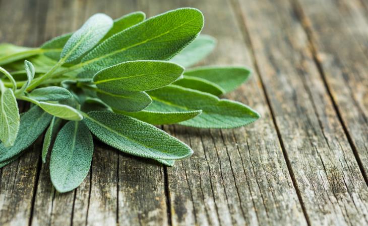 Sage: The Herb With Bountiful Health Benefits 