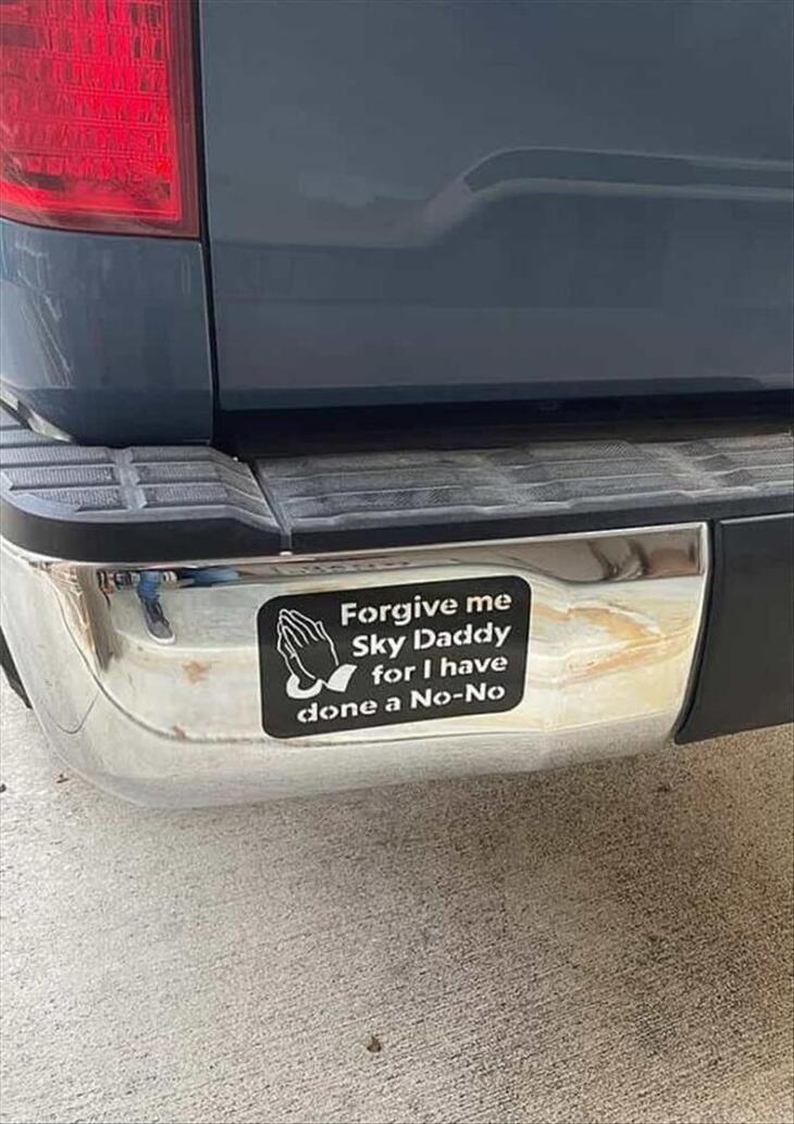 Funny Bumper Sticker – What Would Scooby Do? – Vinyl Decal