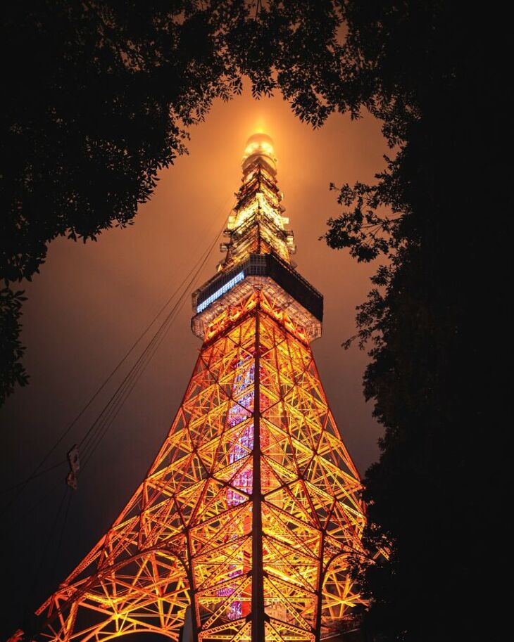 Glistening Nightscapes of Tokyo