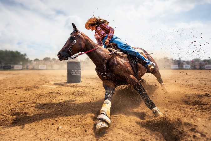 The Remarkable Winners of the All About Photo Awards 2024 