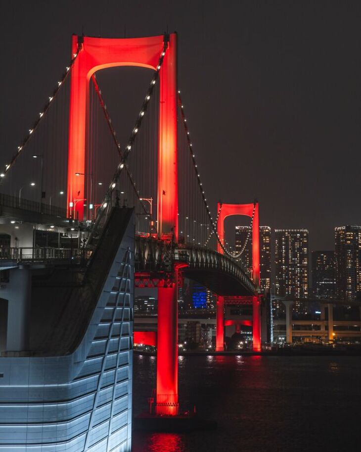 Glistening Nightscapes of Tokyo