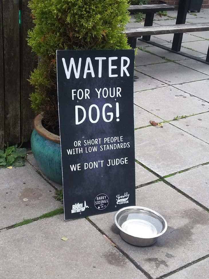 Funny Restaurant Sidewalk Signs 