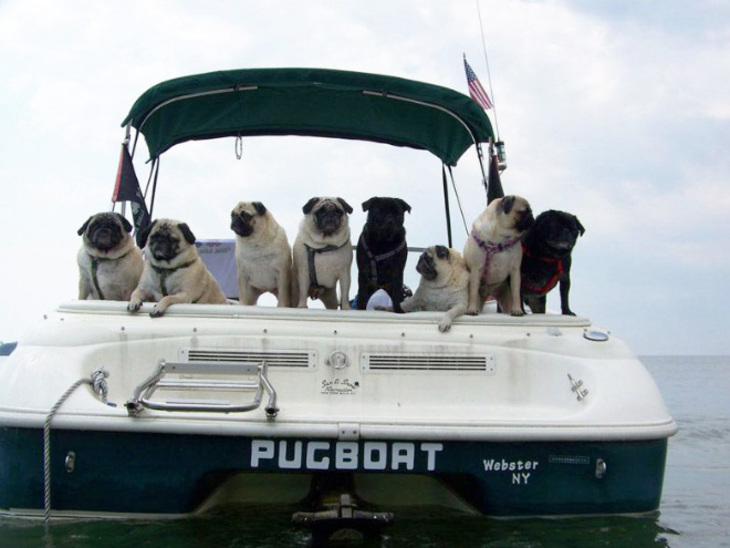 Hilarious Boat Names 