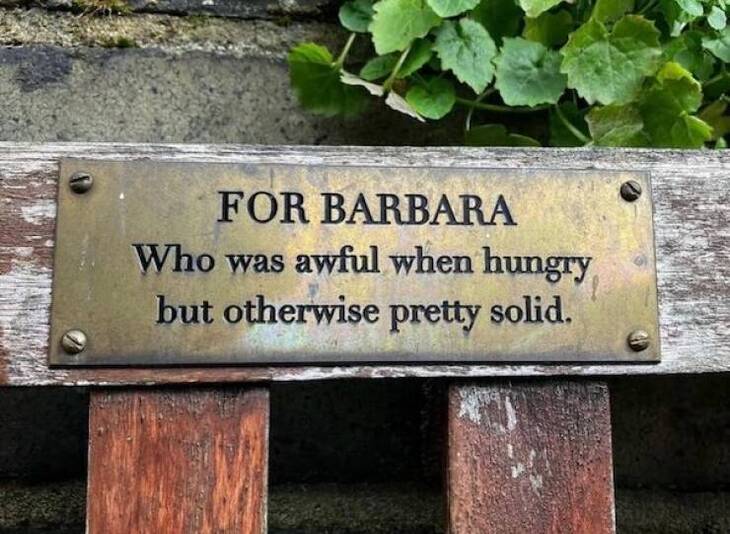 Funny & Heartwarming Bench Plaques 