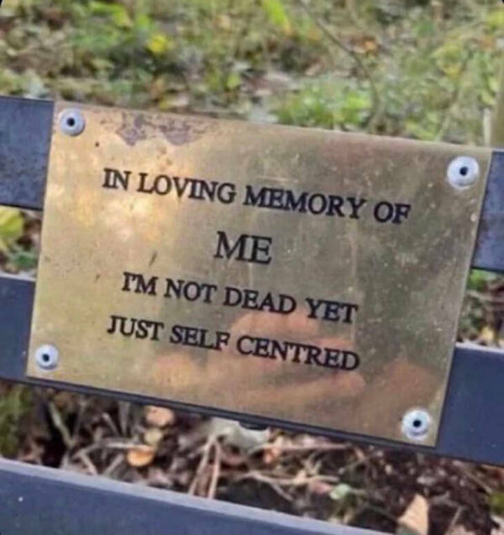 Funny & Heartwarming Bench Plaques 