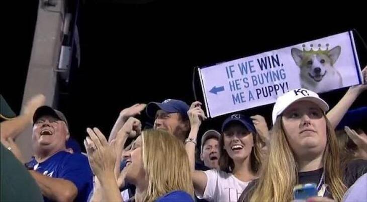 Funny Sports Signs 