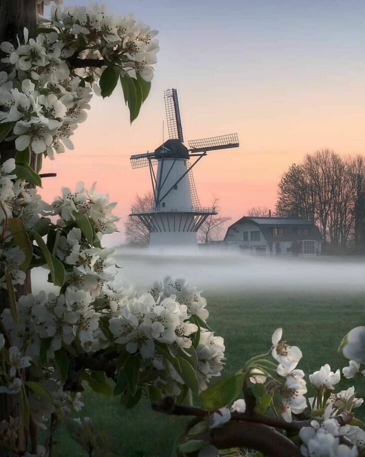 Photos Showcase the True Beauty of the Netherlands