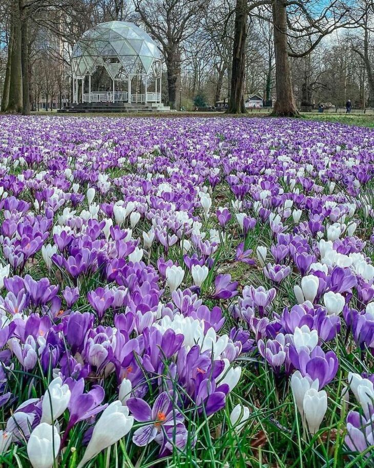 Photos Showcase the True Beauty of the Netherlands