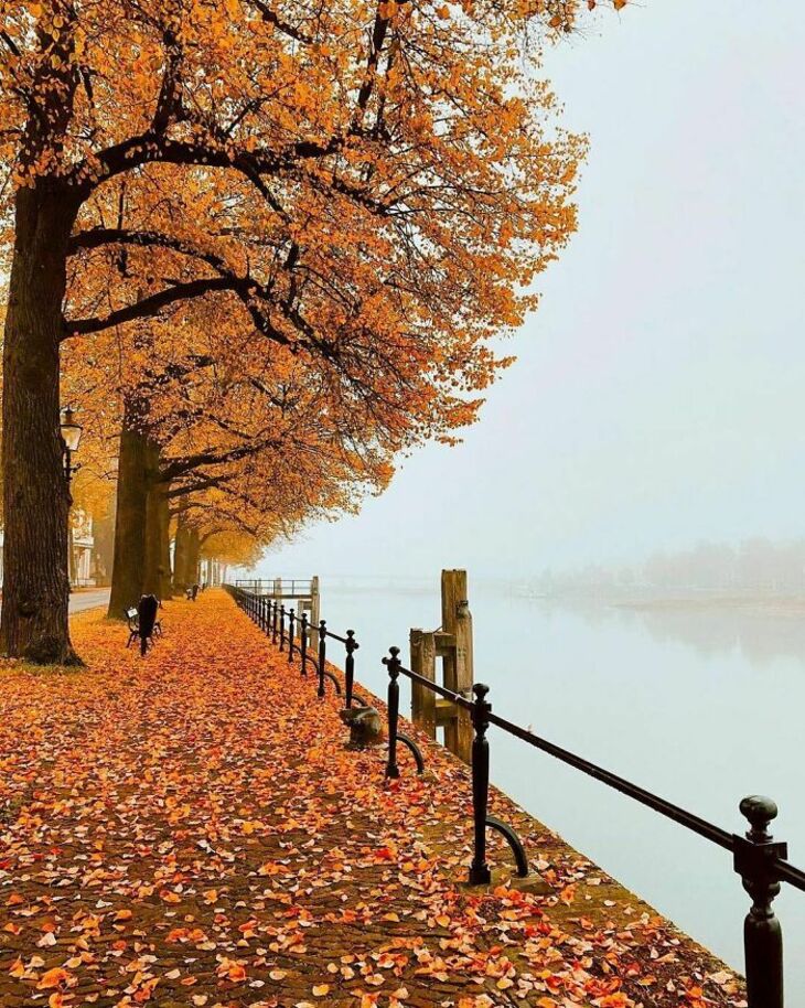 Photos Showcase the True Beauty of the Netherlands