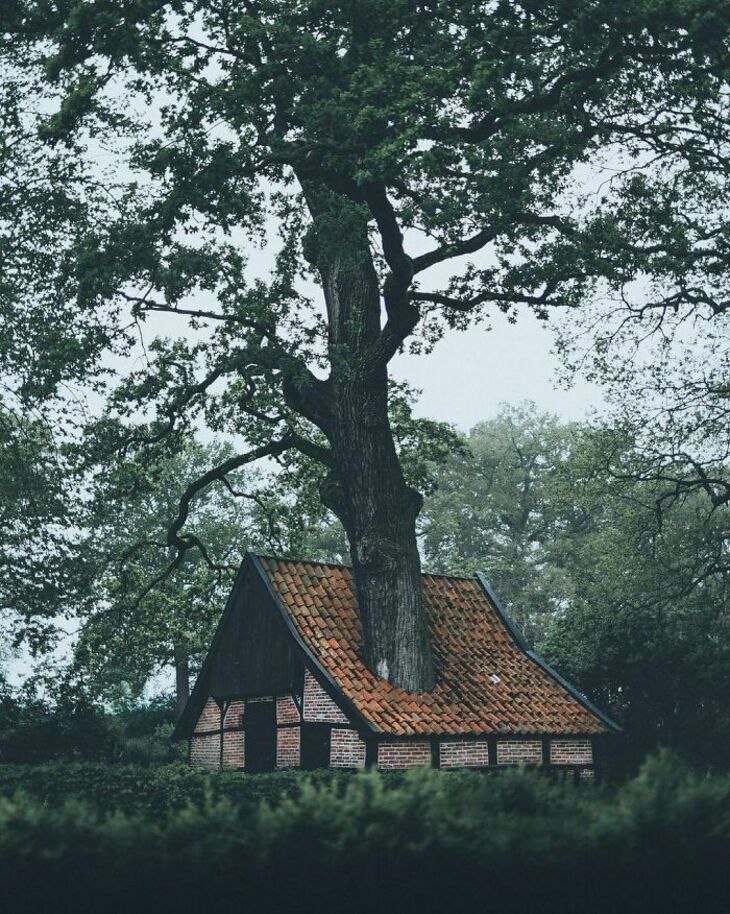 Photos Showcase the True Beauty of the Netherlands