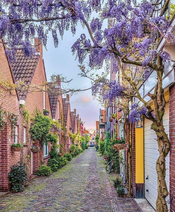 Photos Showcase the True Beauty of the Netherlands